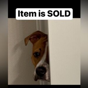 Multi Color Natural Sapphire Bracelet